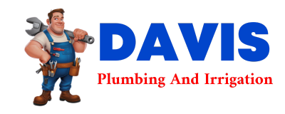 Trusted plumber in PLEVNA